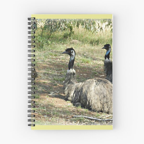Item preview, Resting Emus designed and sold by EdsMum.