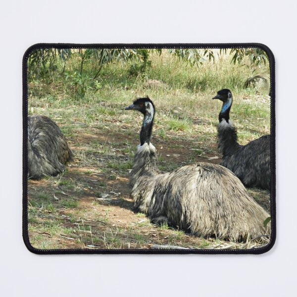 Item preview, Resting Emus designed and sold by EdsMum.