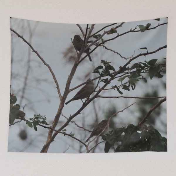 Item preview, Three birds designed and sold by Jmb67.