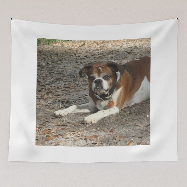 Item preview, Meet Popeye - my new old dog designed and sold by May Lattanzio.