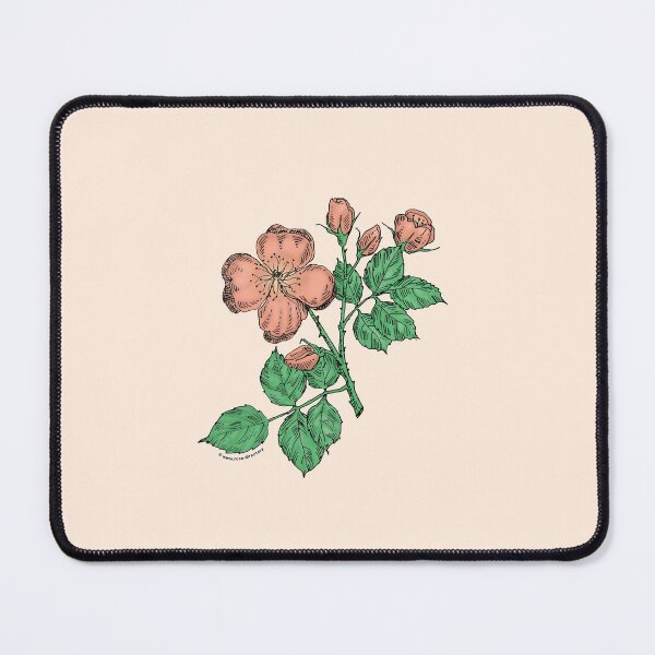 Item preview, Apricot Quartered Rose Bloom Semi-Double 8-15 Petals In 2 Rows designed and sold by Rachael Taylor.
