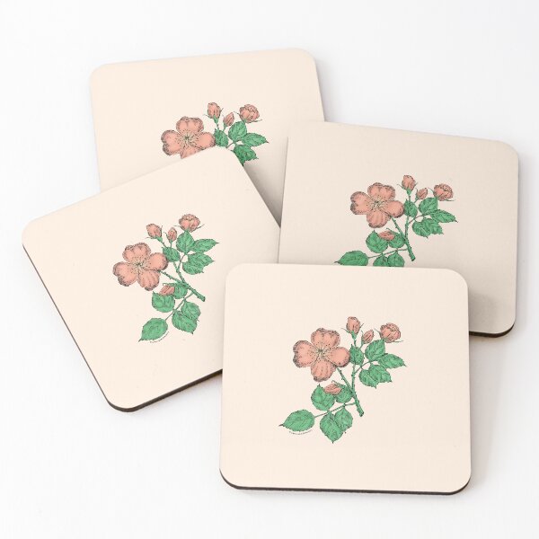 Item preview, Apricot Quartered Rose Bloom Semi-Double 8-15 Petals In 2 Rows designed and sold by Rachael Taylor.