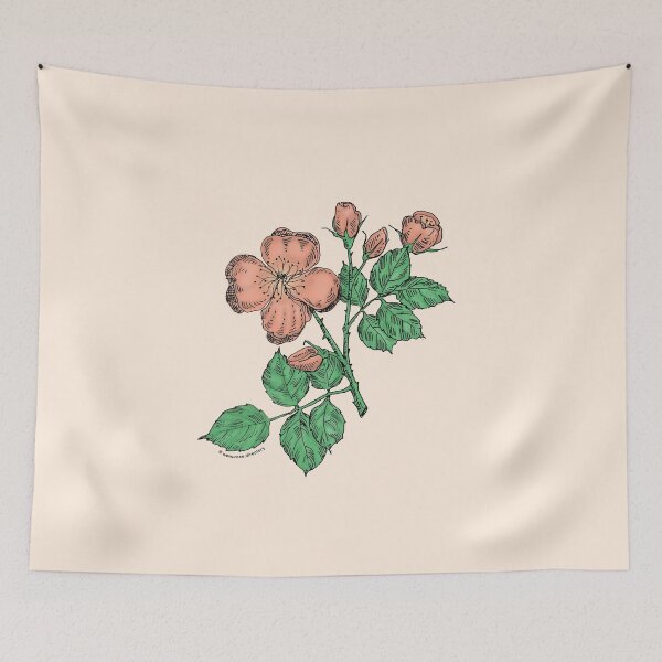 Item preview, Apricot Quartered Rose Bloom Semi-Double 8-15 Petals In 2 Rows designed and sold by Rachael Taylor.