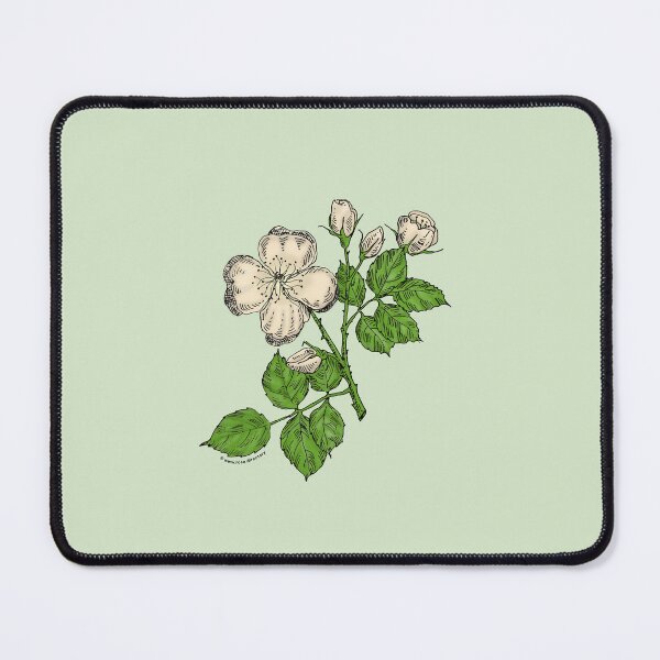 Item preview, Cream Quartered Rose Bloom Semi-Double 8-15 Petals In 2 Rows designed and sold by Rachael Taylor.
