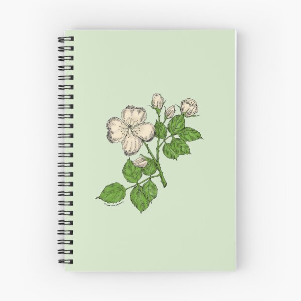 Item preview, Cream Quartered Rose Bloom Semi-Double 8-15 Petals In 2 Rows designed and sold by Rachael Taylor.