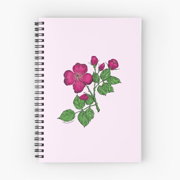 Item preview, Deep Pink Quartered Rose Bloom Semi-Double 8-15 Petals In 2 Rows designed and sold by Rachael Taylor.