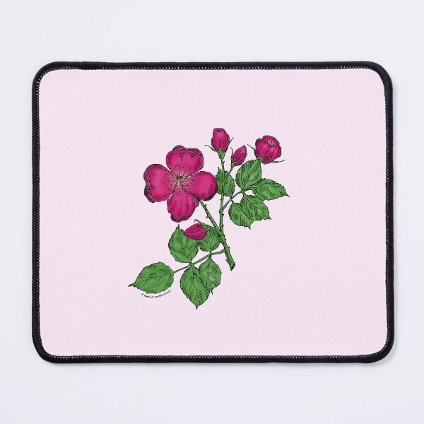 Item preview, Deep Pink Quartered Rose Bloom Semi-Double 8-15 Petals In 2 Rows designed and sold by Rachael Taylor.