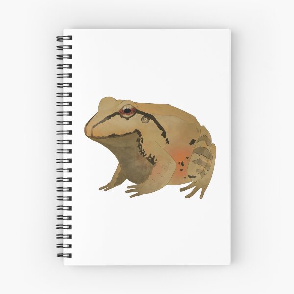 Item preview, South American bullfrog (Leptodactylus pentadactylus) designed and sold by Steel Chariot.