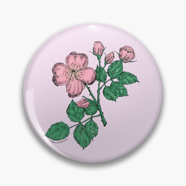 Item preview, Light Pink Quartered Rose Bloom Semi-Double 8-15 Petals In 2 Rows designed and sold by Rachael Taylor.
