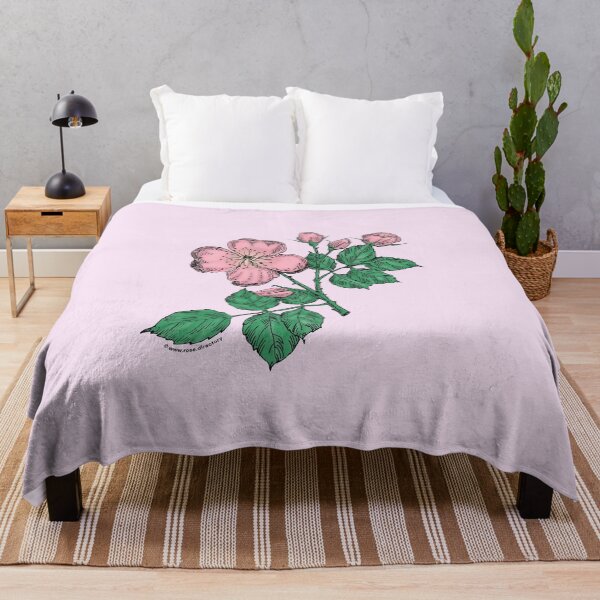 Item preview, Light Pink Quartered Rose Bloom Semi-Double 8-15 Petals In 2 Rows designed and sold by Rachael Taylor.