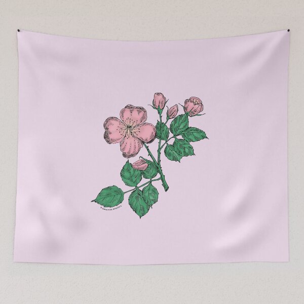 Item preview, Light Pink Quartered Rose Bloom Semi-Double 8-15 Petals In 2 Rows designed and sold by Rachael Taylor.