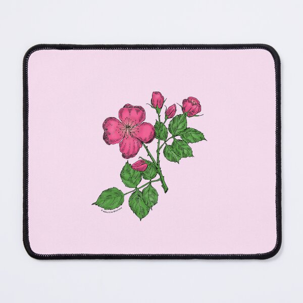 Item preview, Mid Pink Quartered Rose Bloom Semi-Double 8-15 Petals In 2 Rows designed and sold by Rachael Taylor.