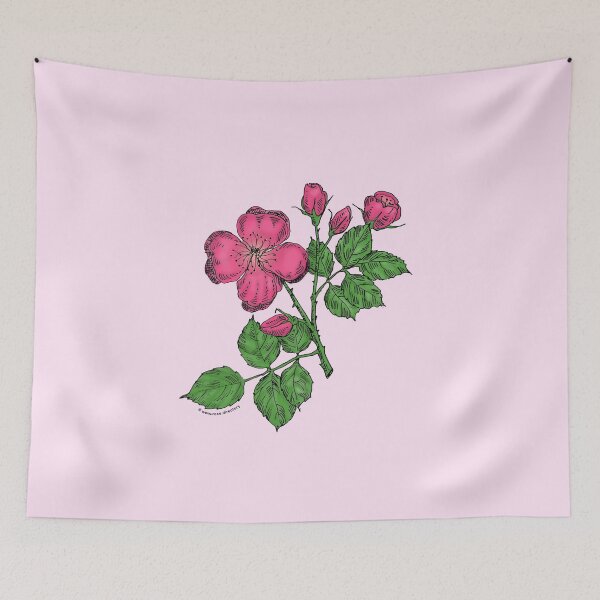 Item preview, Mid Pink Quartered Rose Bloom Semi-Double 8-15 Petals In 2 Rows designed and sold by Rachael Taylor.