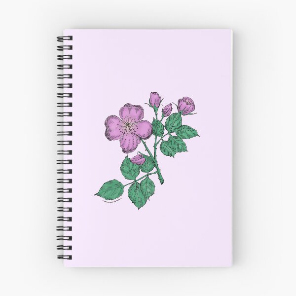 Item preview, Purple Quartered Rose Bloom Semi-Double 8-15 Petals In 2 Rows designed and sold by Rachael Taylor.