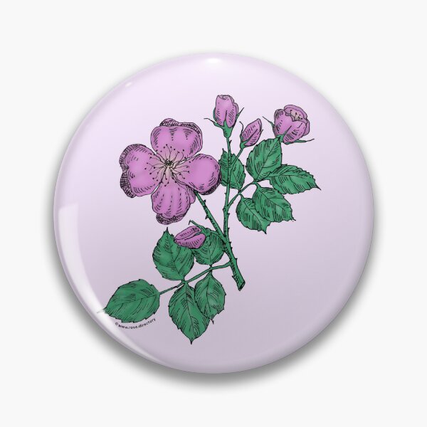 Item preview, Purple Quartered Rose Bloom Semi-Double 8-15 Petals In 2 Rows designed and sold by Rachael Taylor.