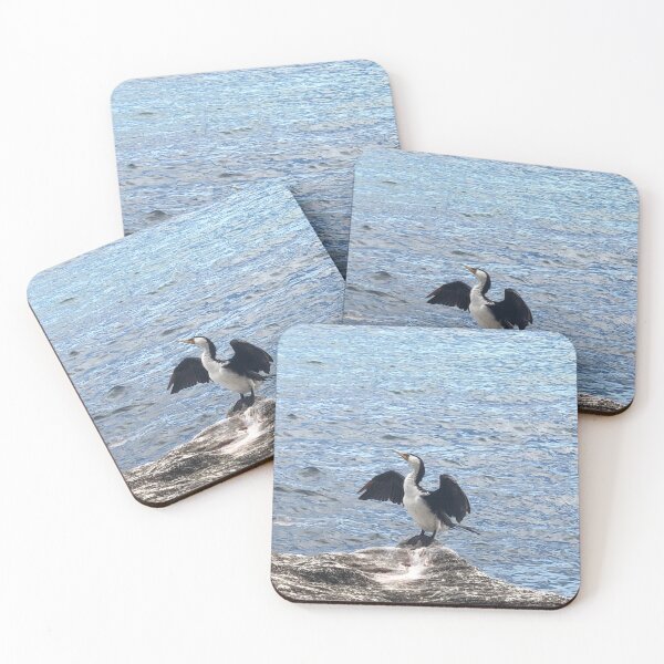 Item preview, Little Pied Cormorant designed and sold by smh2.