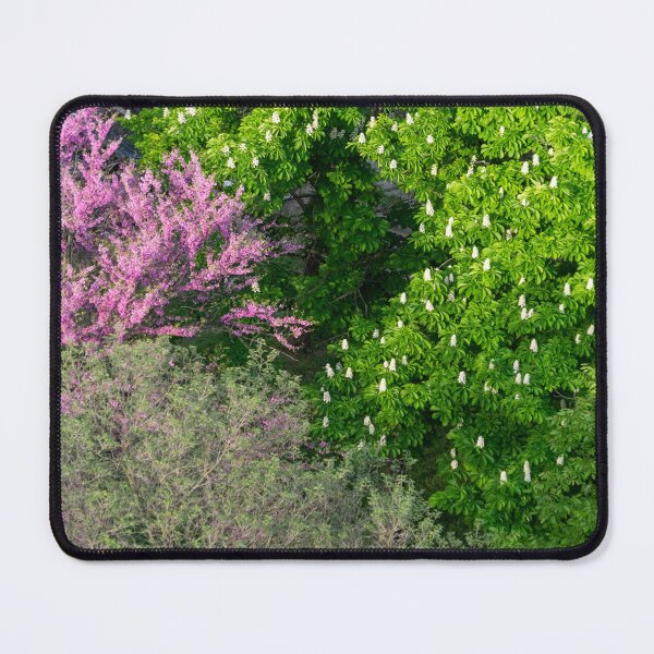 Item preview, Early Summer Treetops designed and sold by Georgia Mizuleva.
