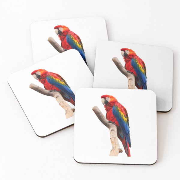 Item preview, Cute Parrot designed and sold by Abhi1083.