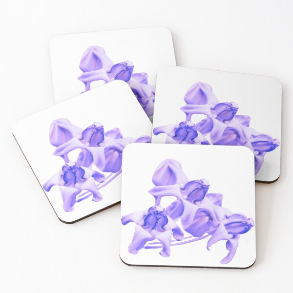Item preview, Crown Flower Calotropis Gigantea designed and sold by Whatdoesmilosee.