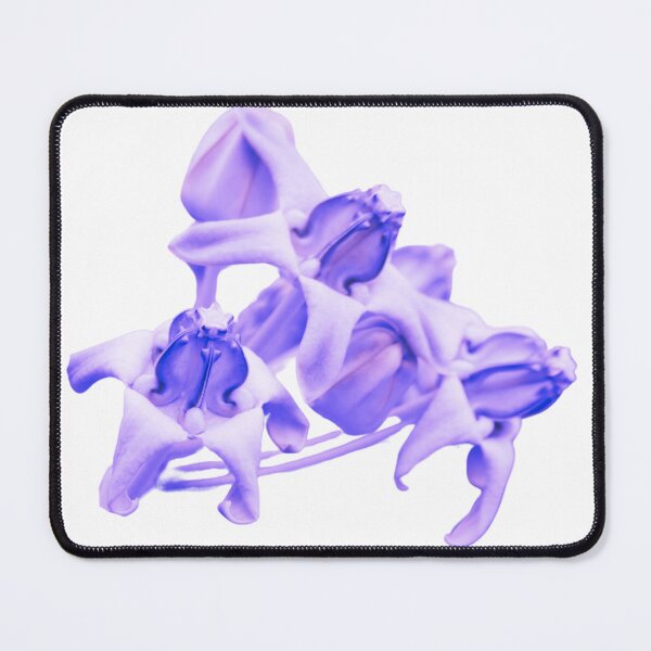Item preview, Crown Flower Calotropis Gigantea designed and sold by Whatdoesmilosee.