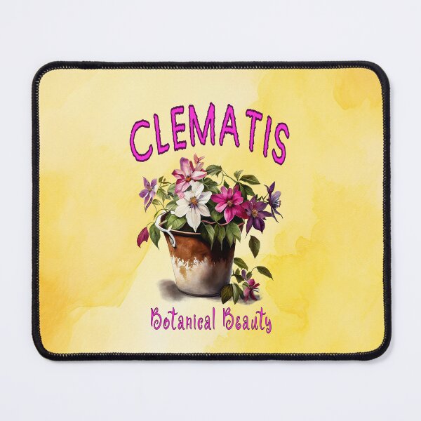 Item preview, Botanical Beauty Clematis Trio Pink Purple and White designed and sold by MysticOzzy.