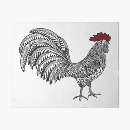 Rooster Zentangle Artwork with Colored Comb Art Board Print