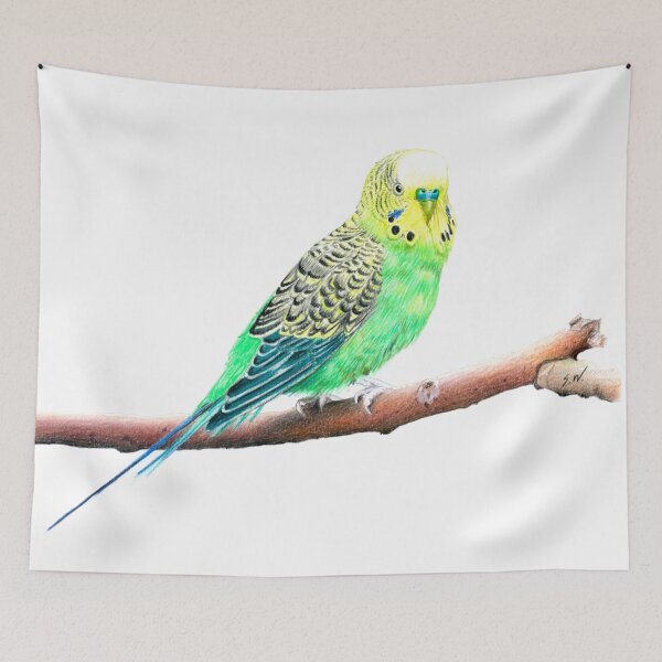 Item preview, Budgie-Parakeet Pencil Drawing designed and sold by SandraWarmerdam.
