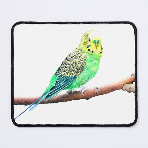 Item preview, Budgie-Parakeet Pencil Drawing designed and sold by SandraWarmerdam.