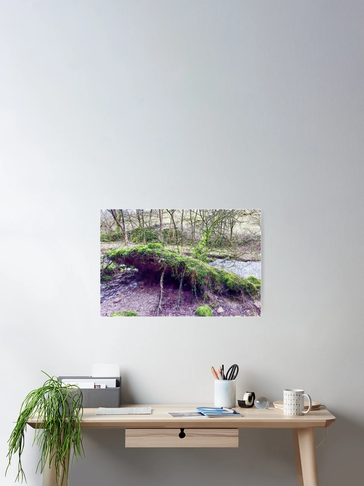 Thumbnail 2 of 3, Poster, Fallen Tree designed and sold by RickTeeDesigns.