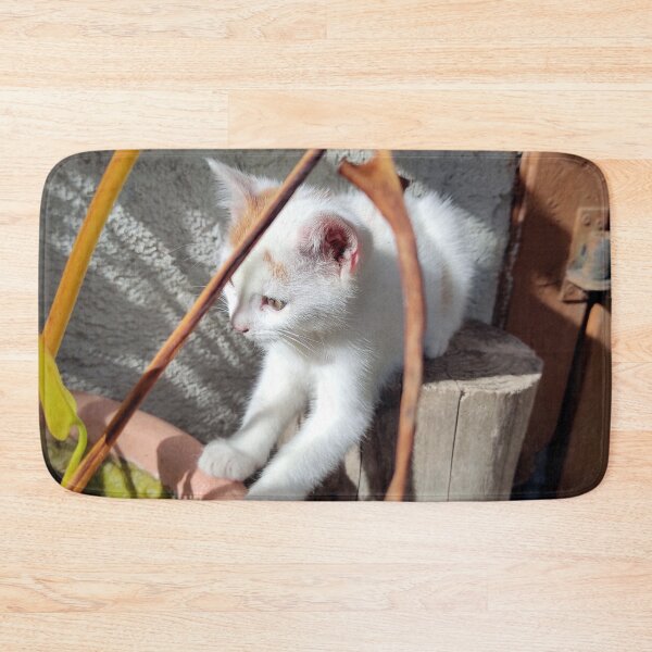 Artikelvorschau, Kleiner neugieriger Kater entworfen und verkauft von Gourmetkater.