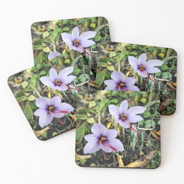 Item preview, Saffron flowers designed and sold by Gourmetkater.