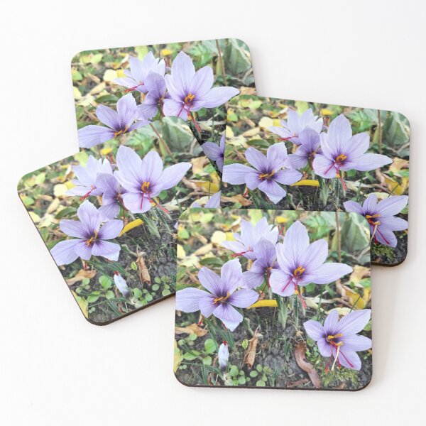 Item preview, Saffron flowers designed and sold by Gourmetkater.