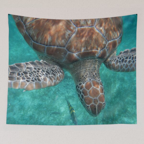 Item preview, Sea Turtle  designed and sold by lifetravelphoto.