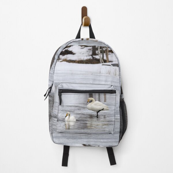 Item preview, When the spring is late. Whooper swan designed and sold by Jouko Lehto Photography.