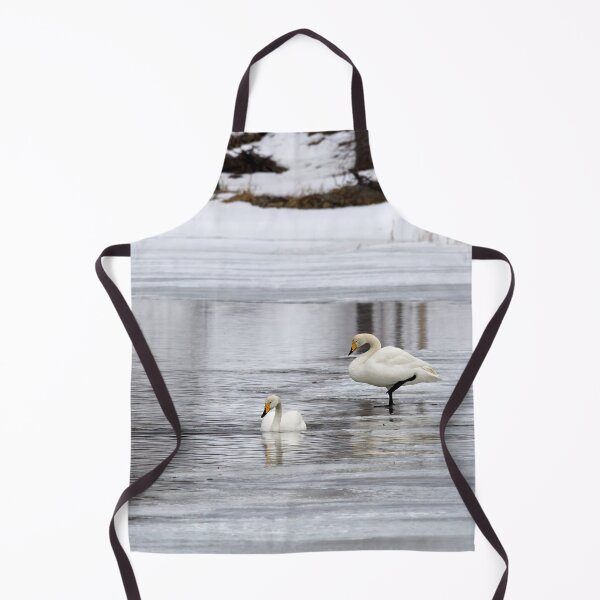 Item preview, When the spring is late. Whooper swan designed and sold by Jouko Lehto Photography.