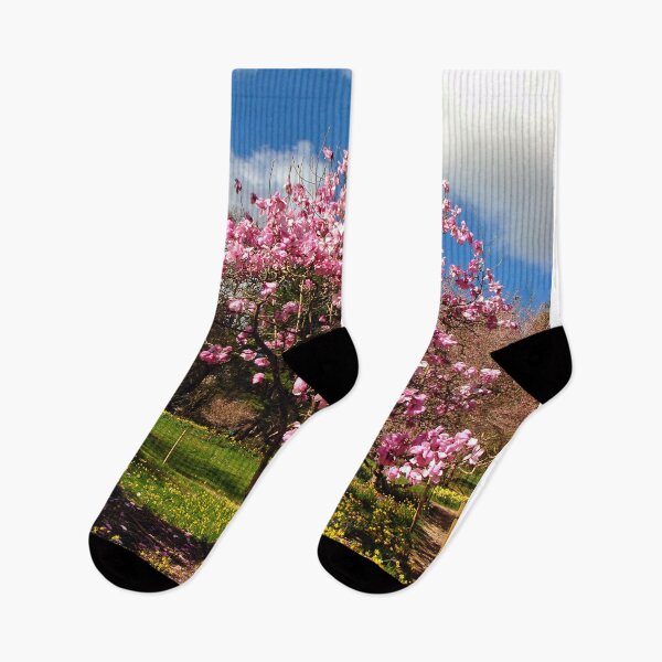 Item preview, Magnolia Tree Batsford Arboretum Cotswolds UK designed and sold by AndyEvansPhotos.