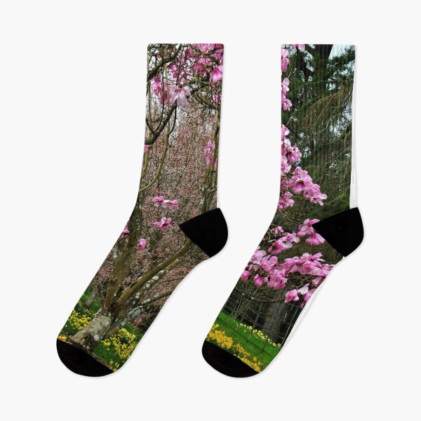Item preview, Magnolia Tree Batsford Arboretum Cotswolds UK designed and sold by AndyEvansPhotos.