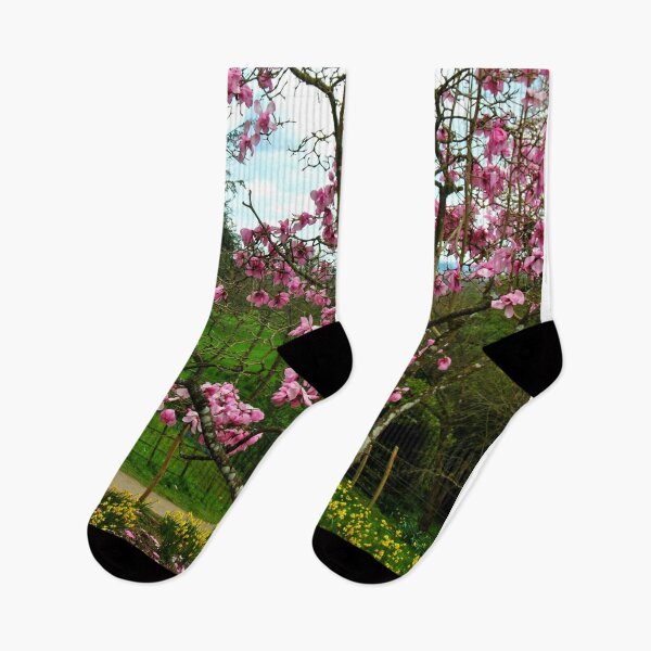 Item preview, Magnolia Tree Batsford Arboretum Cotswolds UK designed and sold by AndyEvansPhotos.