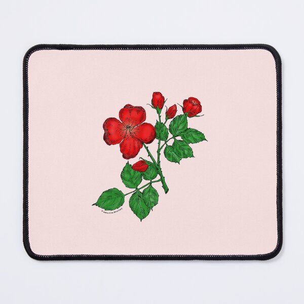 Item preview, Bright Red Quartered Rose Bloom Semi-Double 8-15 Petals In 2 Rows designed and sold by Rachael Taylor.
