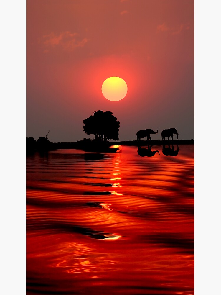 SUNSET WITH ELEPHANTS - BOTSWANA by farflung