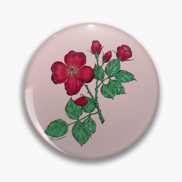 Item preview, Dark Red Quartered Rose Bloom Semi-Double 8-15 Petals In 2 Rows designed and sold by Rachael Taylor.