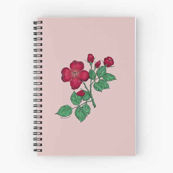 Item preview, Dark Red Quartered Rose Bloom Semi-Double 8-15 Petals In 2 Rows designed and sold by Rachael Taylor.