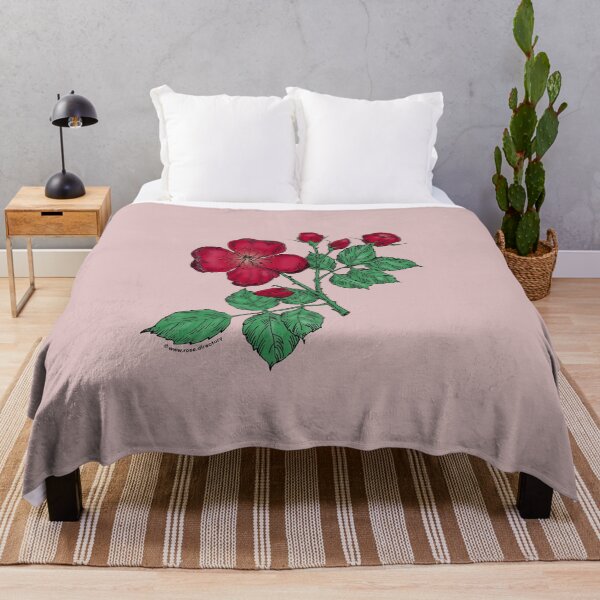 Item preview, Dark Red Quartered Rose Bloom Semi-Double 8-15 Petals In 2 Rows designed and sold by Rachael Taylor.