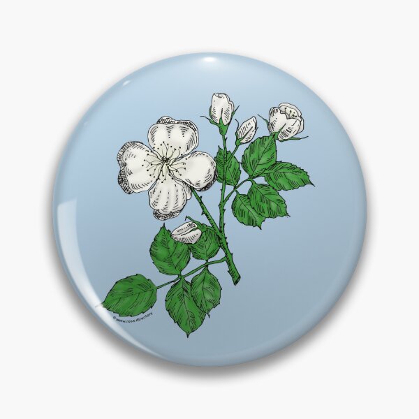 Item preview, White Quartered Rose Bloom Semi-Double 8-15 Petals In 2 Rows designed and sold by Rachael Taylor.