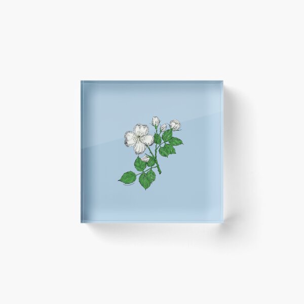 Item preview, White Quartered Rose Bloom Semi-Double 8-15 Petals In 2 Rows designed and sold by Rachael Taylor.