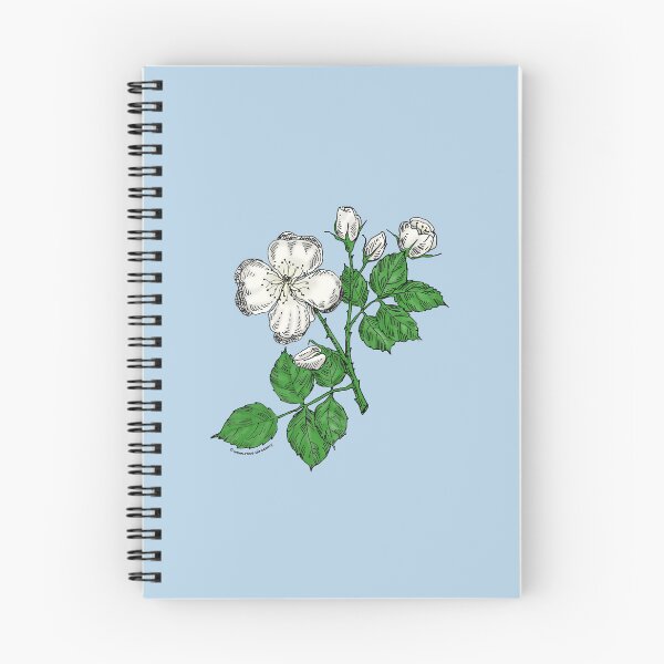 Item preview, White Quartered Rose Bloom Semi-Double 8-15 Petals In 2 Rows designed and sold by Rachael Taylor.