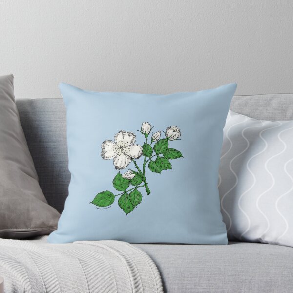 Item preview, White Quartered Rose Bloom Semi-Double 8-15 Petals In 2 Rows designed and sold by Rachael Taylor.