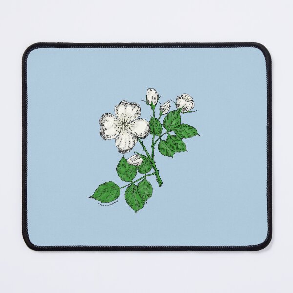 Item preview, White Quartered Rose Bloom Semi-Double 8-15 Petals In 2 Rows designed and sold by Rachael Taylor.