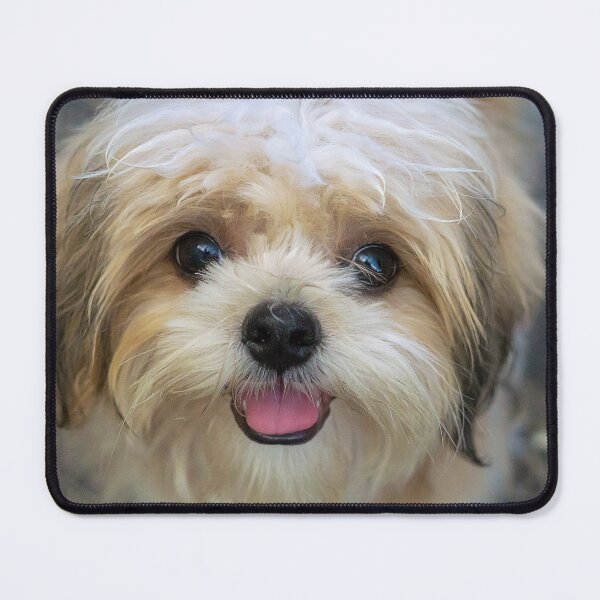 Item preview, LOVE DOGS designed and sold by likbatonboot.