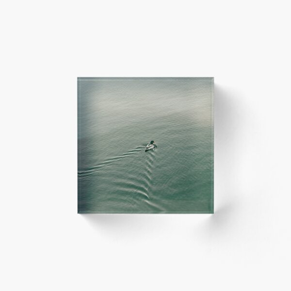 Item preview, Lone duck designed and sold by Monochrom4.